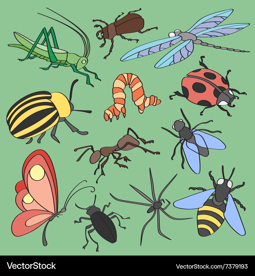 Doodle insects Royalty Free Vector Image - VectorStock