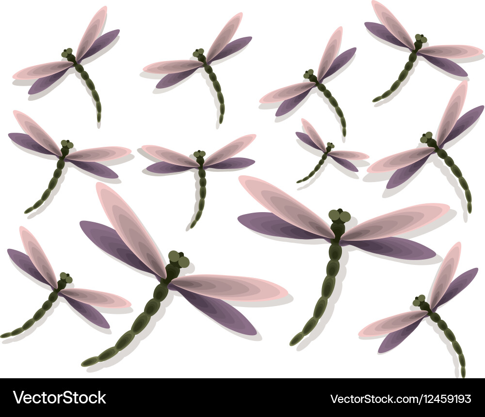 Dragonfly pattern background vector image