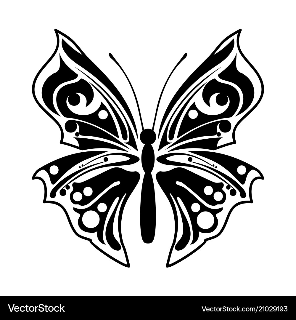Elegant Butterfly Silhouette vector image