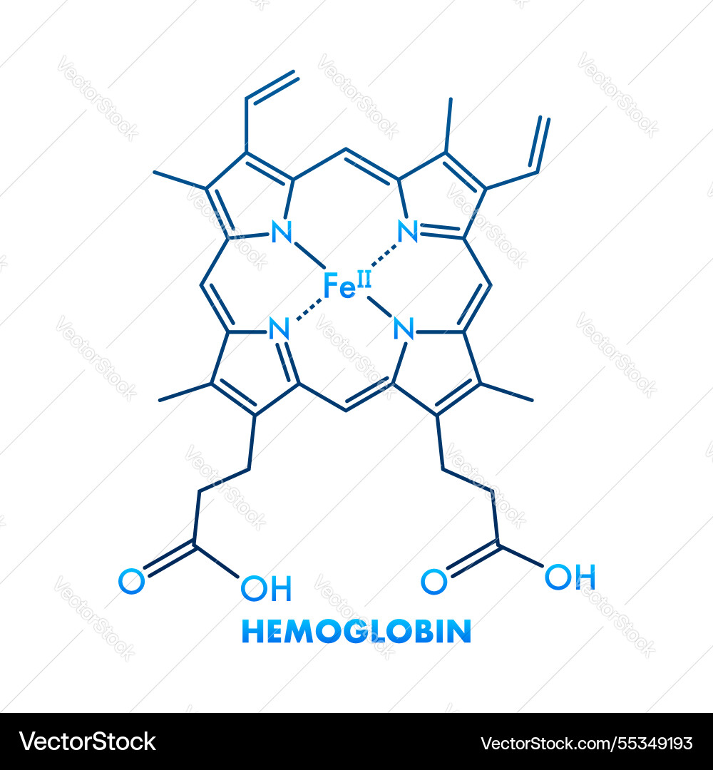 Hemoglobin molecular formula showing iron Hemoglobin molecular formula showing iron vector image