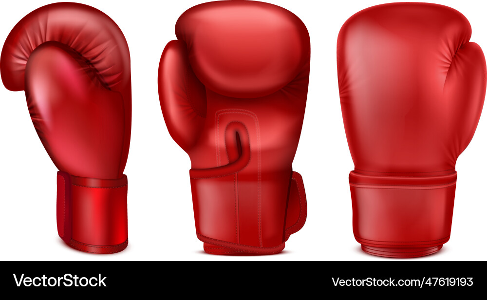 Red Boxing Gloves Set Royalty Free Vector Image