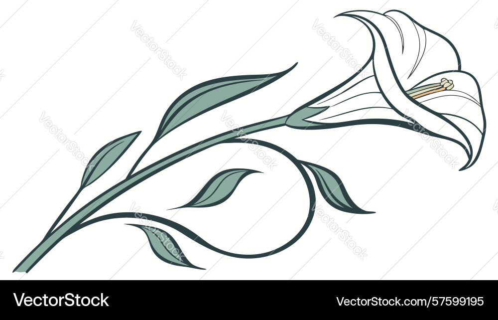 Graceful calla lily branch design generative ai Vector Image