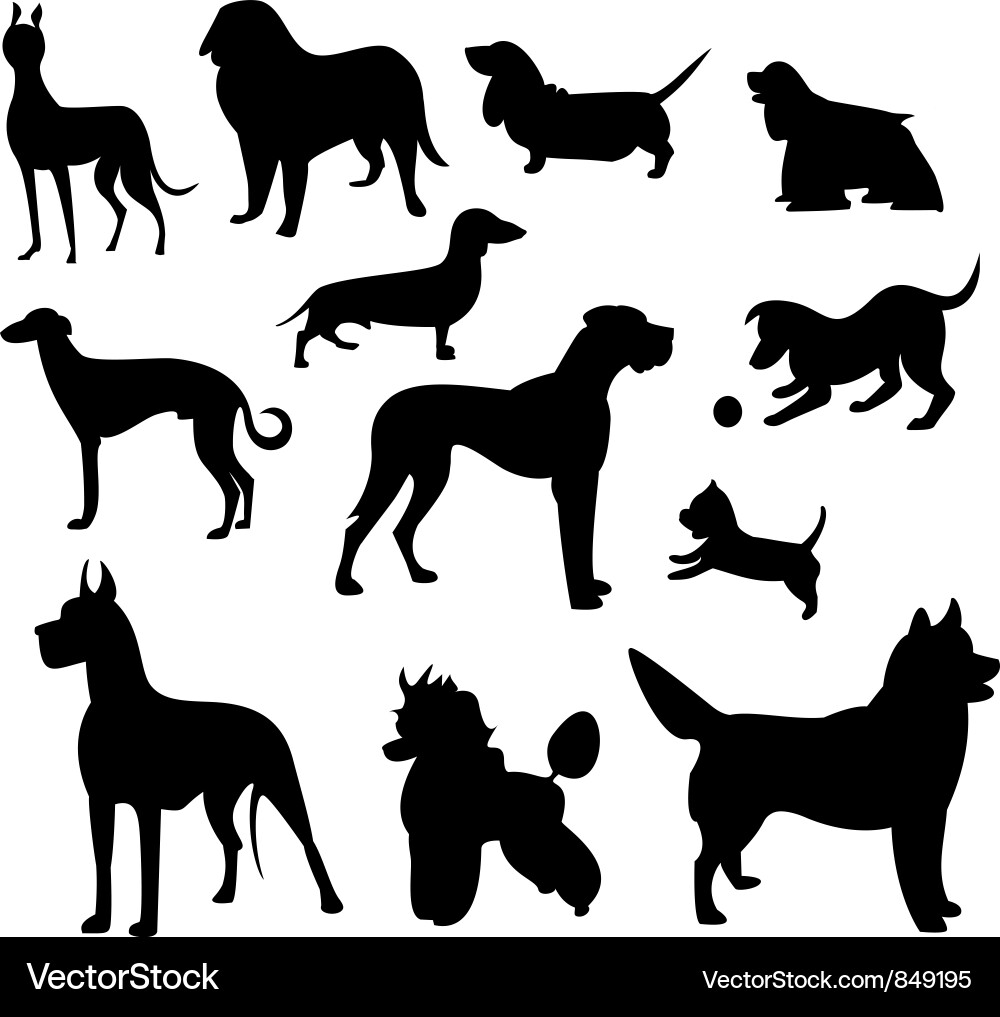 Poodle Silhouette Set Vector Image