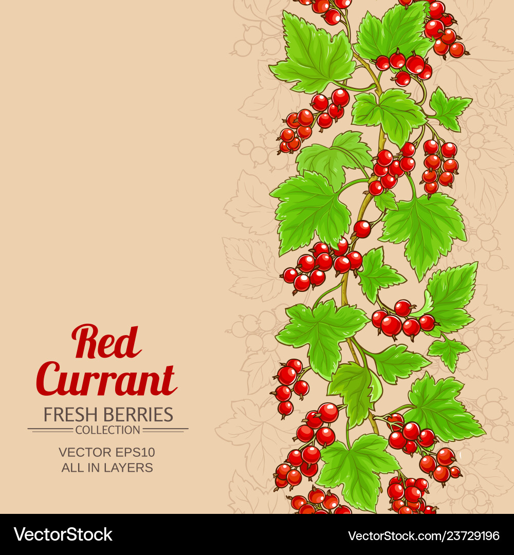 Red currant branches pattern on color background Red currant branches pattern on color background vector image
