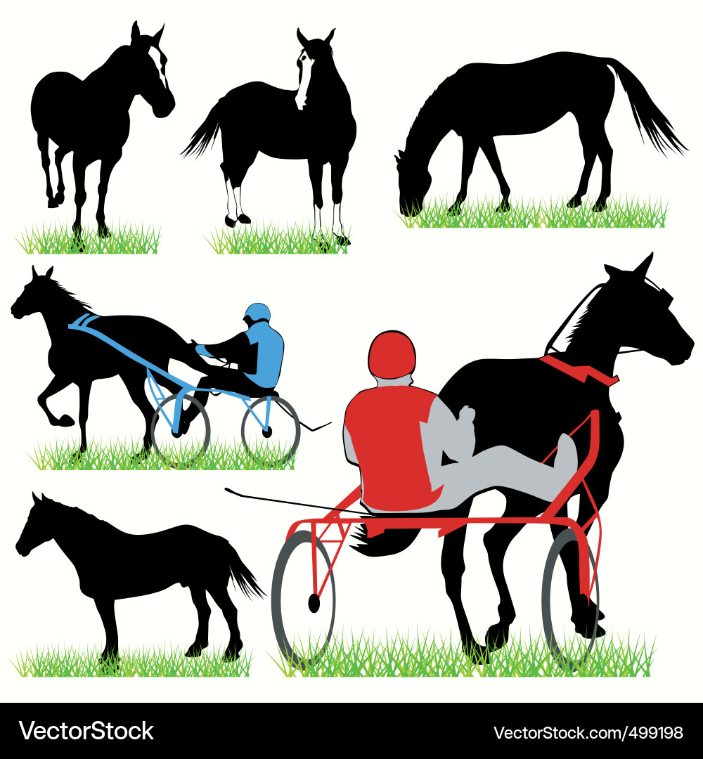 Jockey and Horse Silhouettes vector image