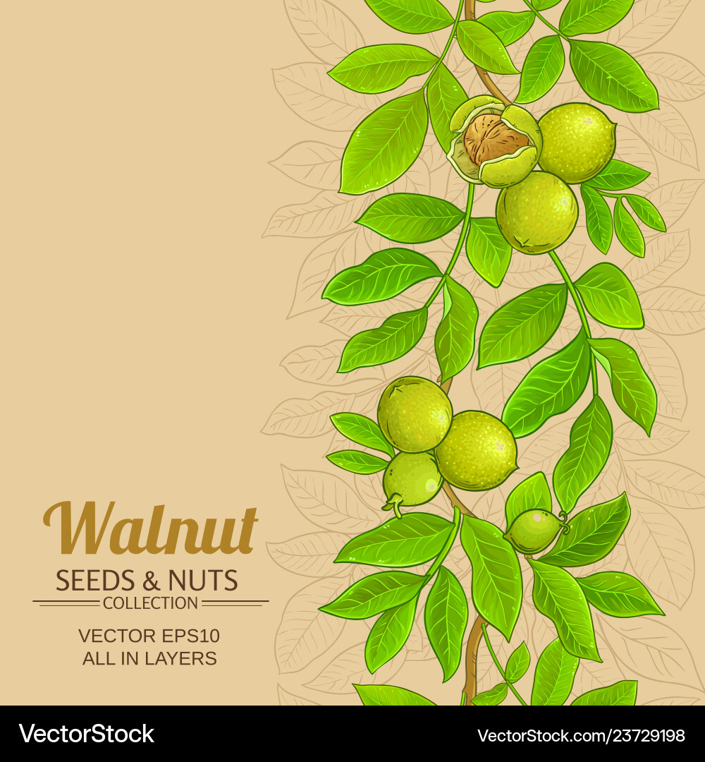 Walnut branches pattern on color background Walnut branches pattern on color background vector image