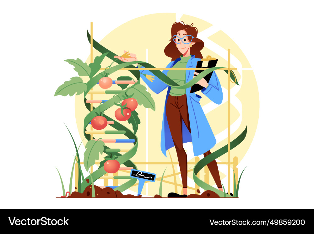 Person tending tomato plant Person tending tomato plant vector image