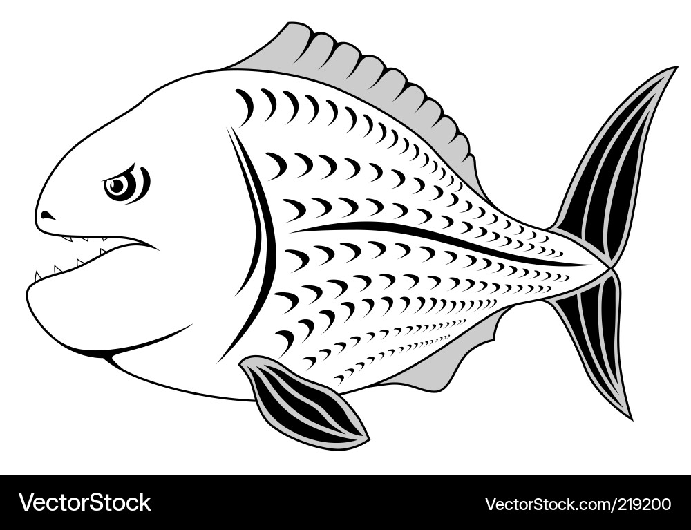 Piranha Vector Image