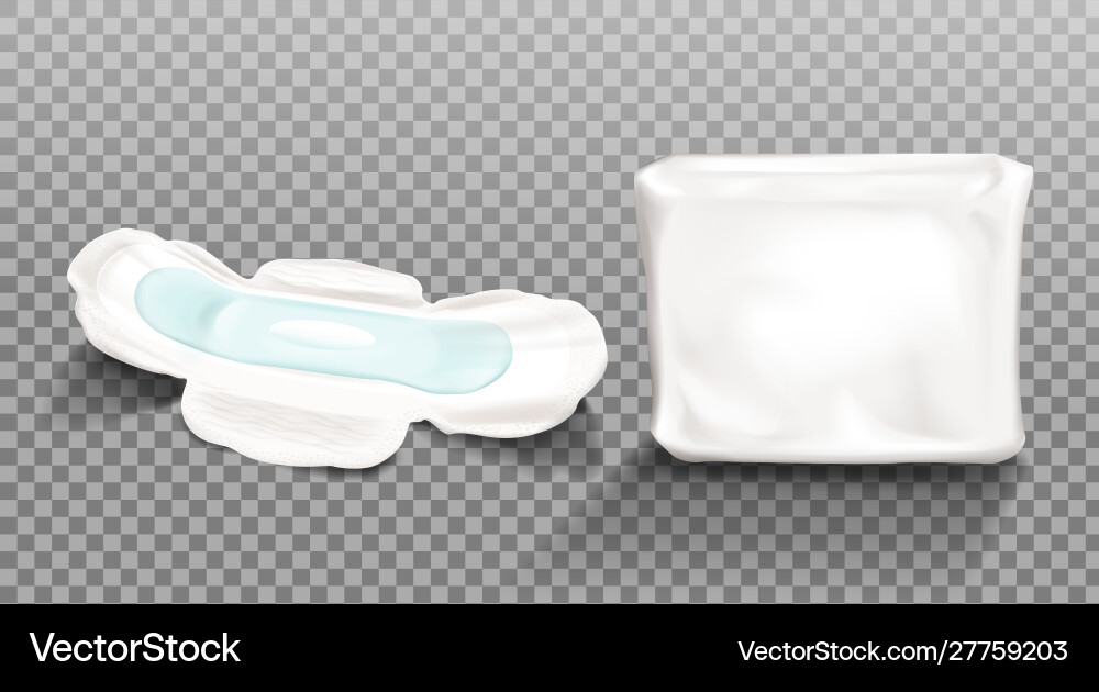 Sanitary napkin and blank plastic package clip art Sanitary napkin and blank plastic package clip art vector image