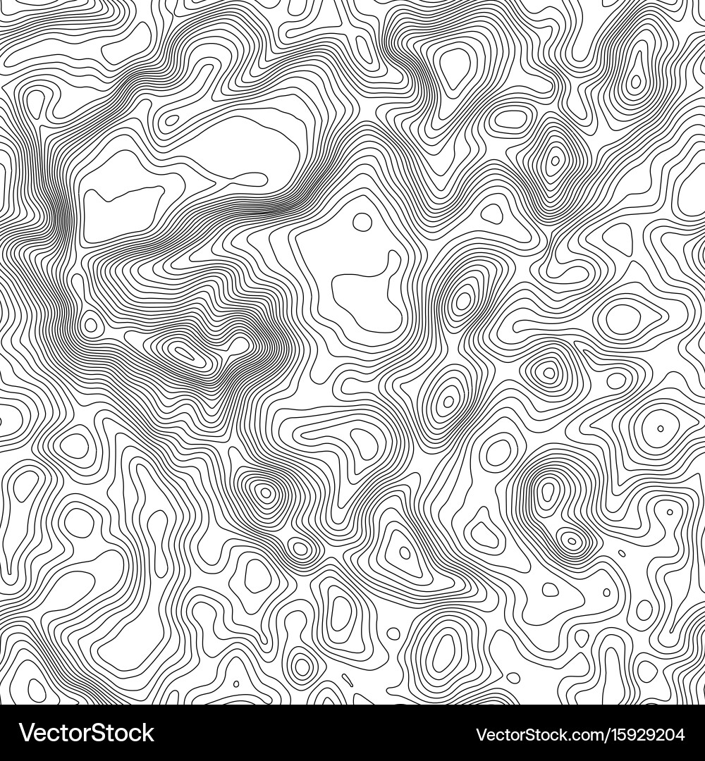 Seamless pattern topographic map background vector image