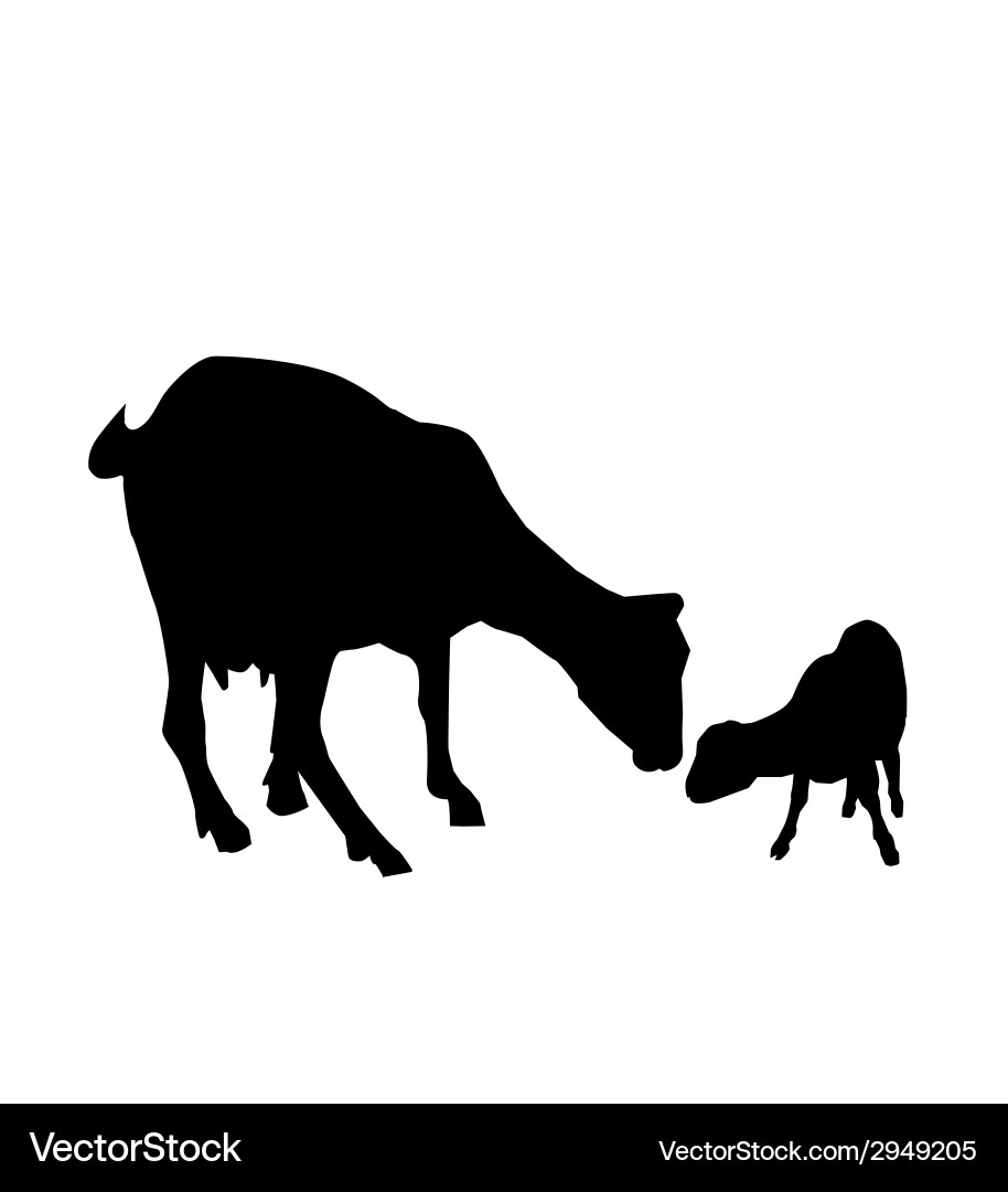 Goat and kid vector image