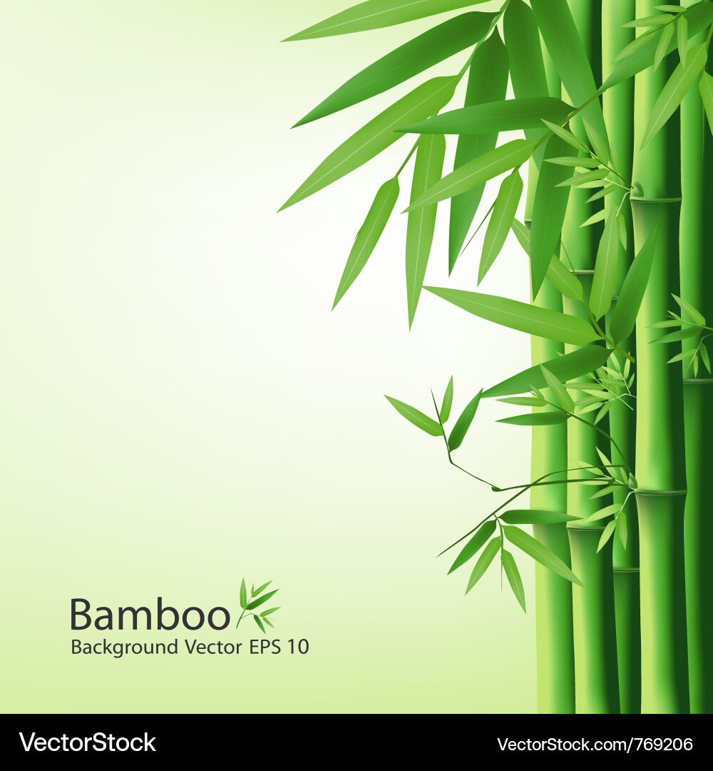 Bambusblatt Hintergrund Vektorbild