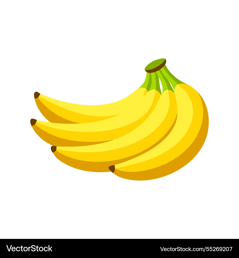 Collection of vibrant bananas isolated flat Collection of vibrant bananas isolated flat vector image
