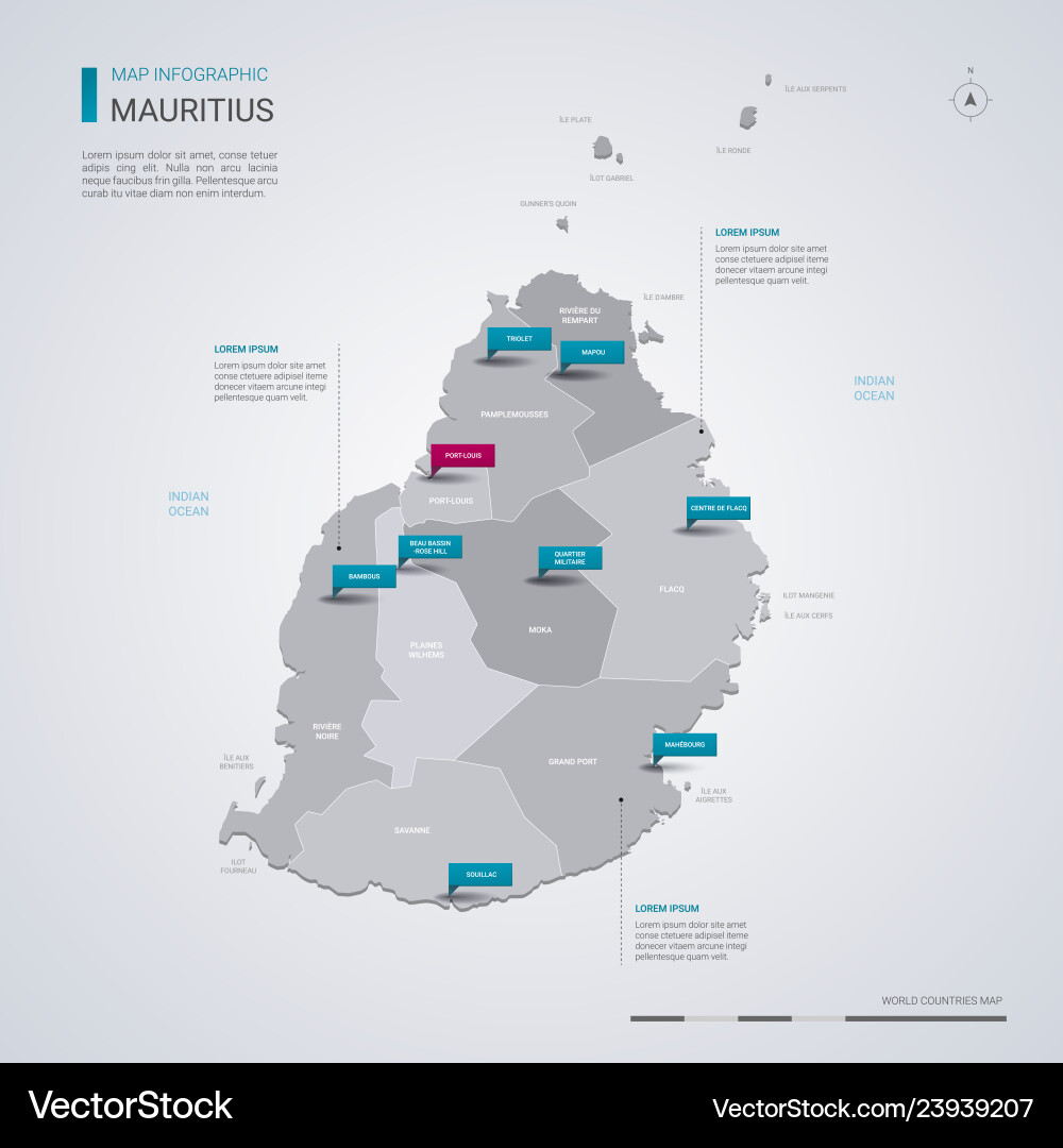 Mauritius Karte mit Infografiken Pointer Mauritius Karte mit Infografiken Pointer vektorbild