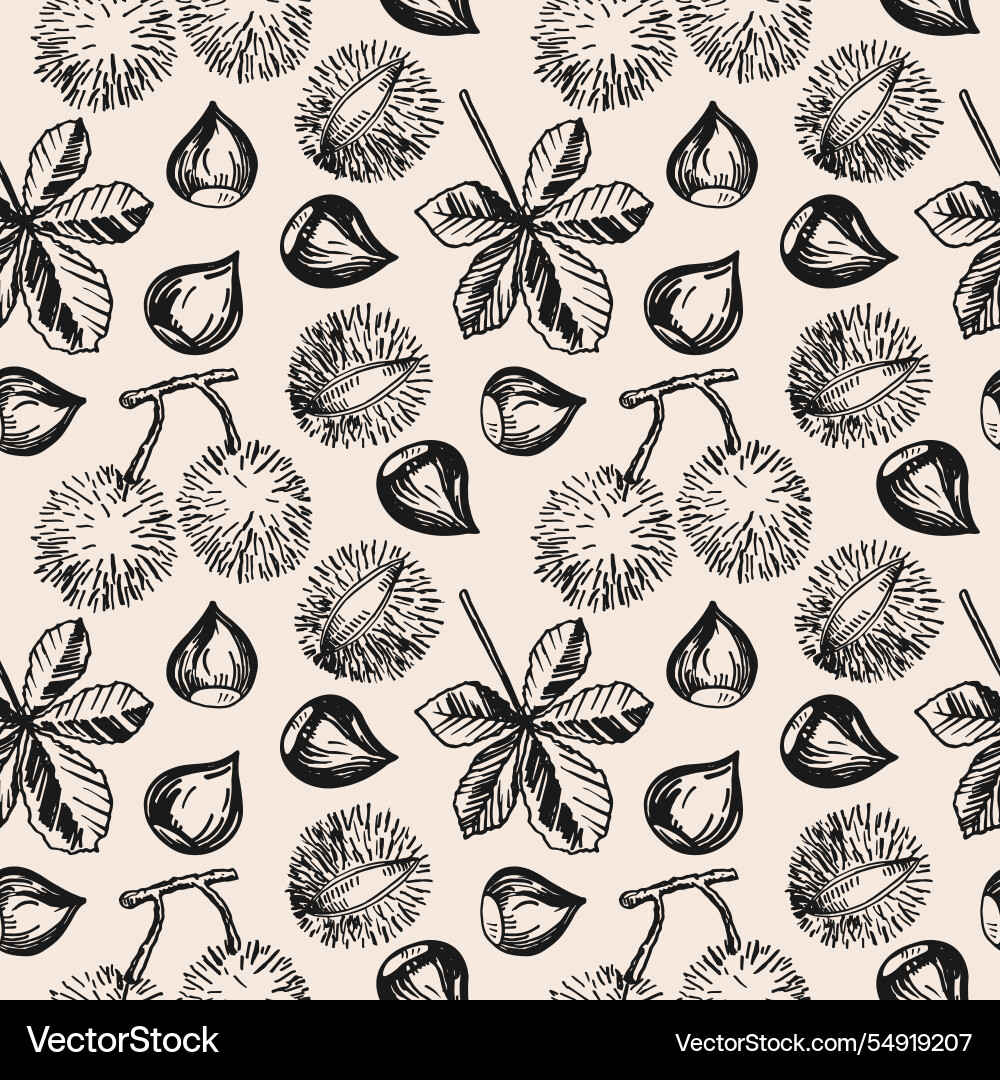 Seamless pattern with chestnuts nuts Vector Image
