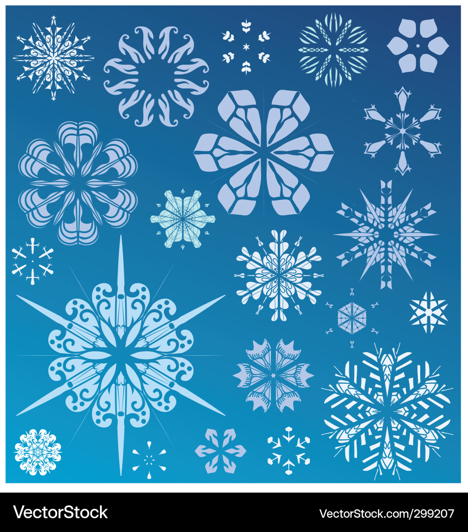 Winter Snowflake Collection vector image