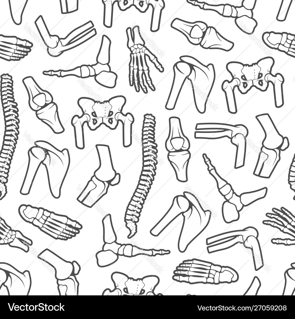 Human Anatomy Bone Joint Pattern Vector Image