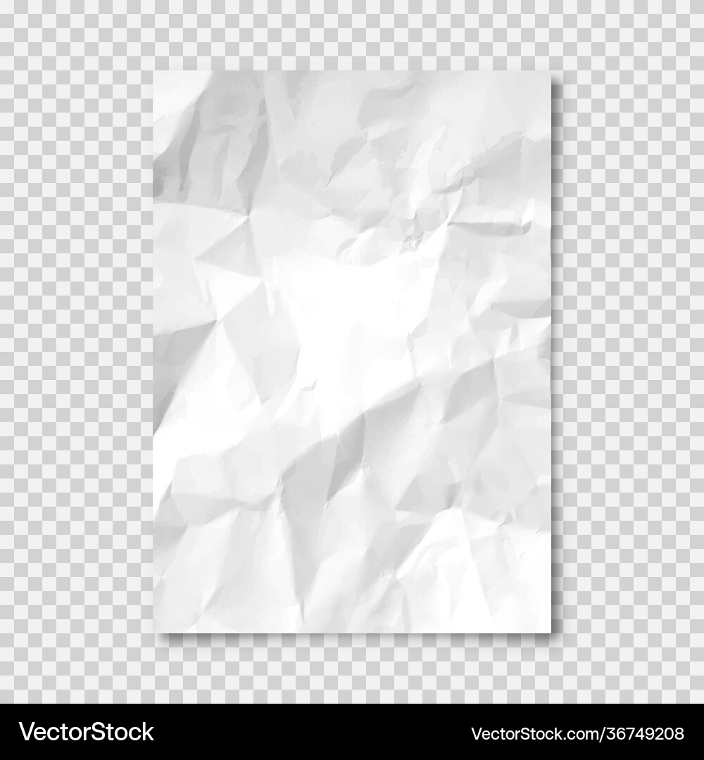 Realistic blank crumpled paper sheet in a4 format Realistic blank crumpled paper sheet in a4 format Vector Image