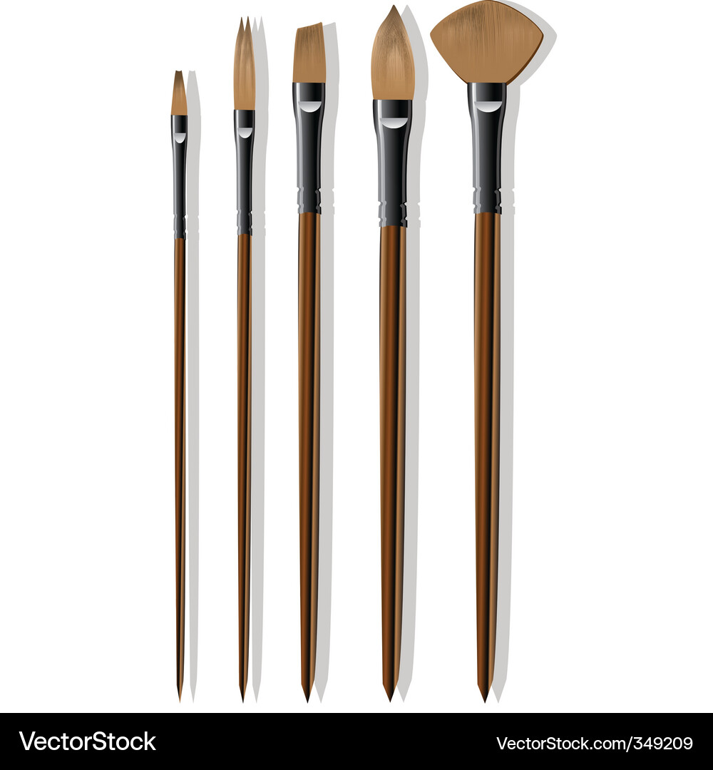 Assorted Paintbrushes Vector Image