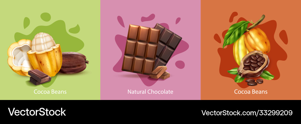 Realistic cocoa design concept vector image