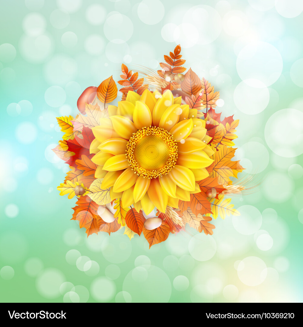 Autumn concept background eps 10 vector image