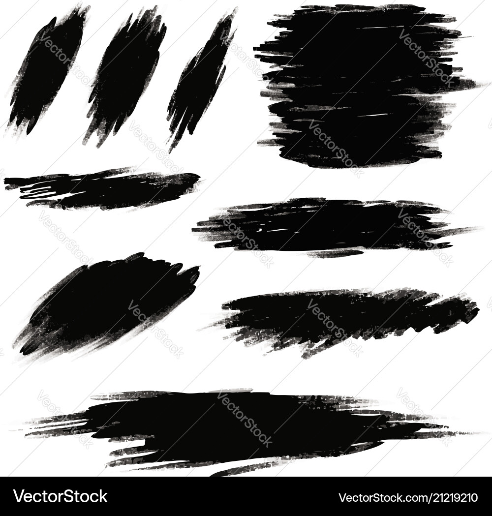 Black Paint Stroke on White vector image