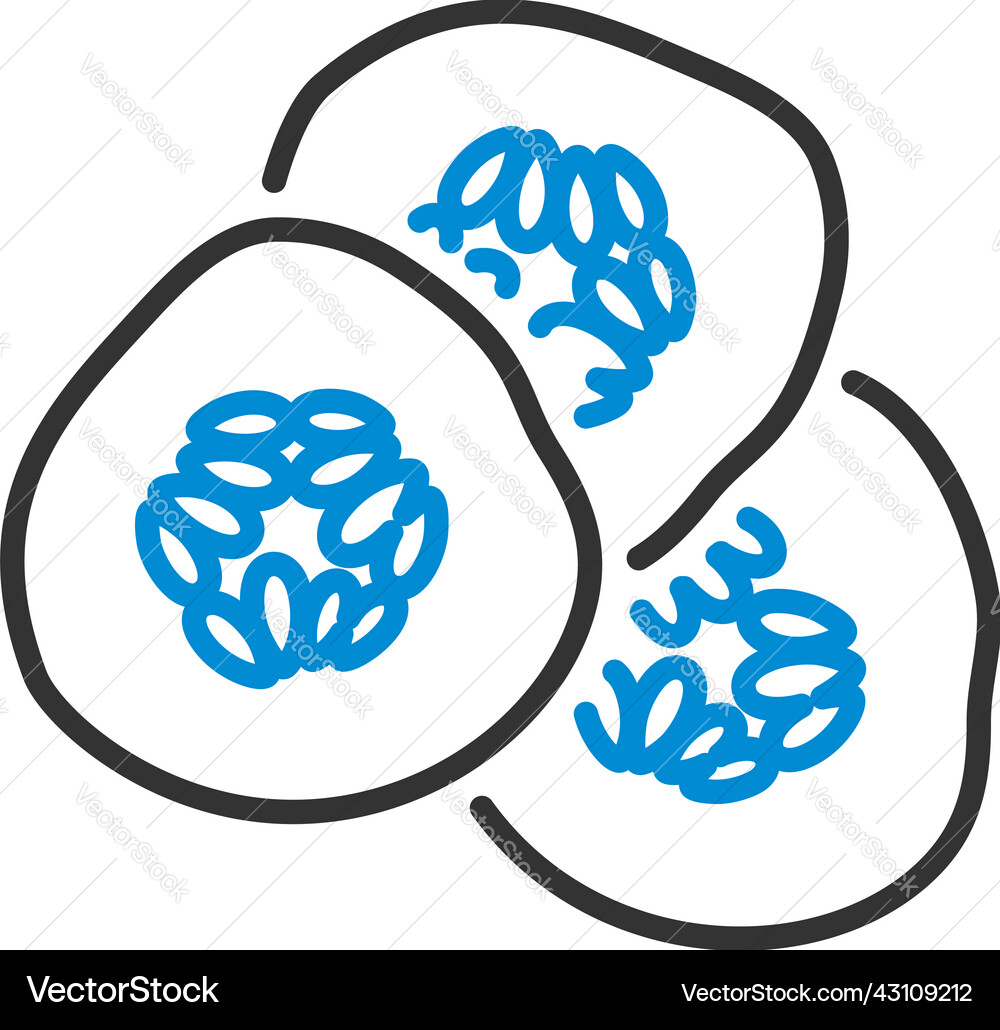 Cucumber slices for spa icon vector image