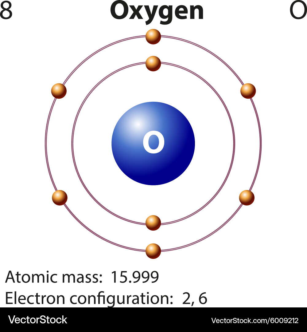 Oxygen Atomic Structure Diagram vector image