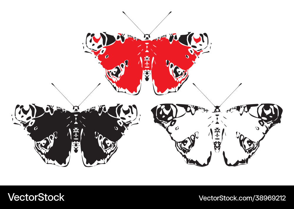 Three peacock eye butterflies with open wings Three peacock eye butterflies with open wings vector image