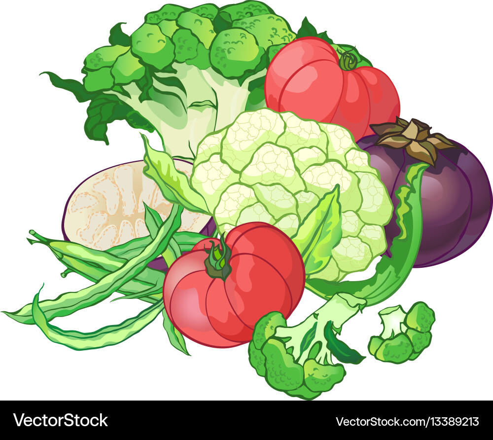Vegetables set with broccoli green string beans Vector Image