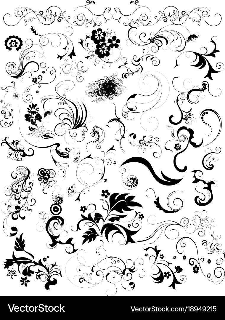 Elegant Floral Ornament vector image