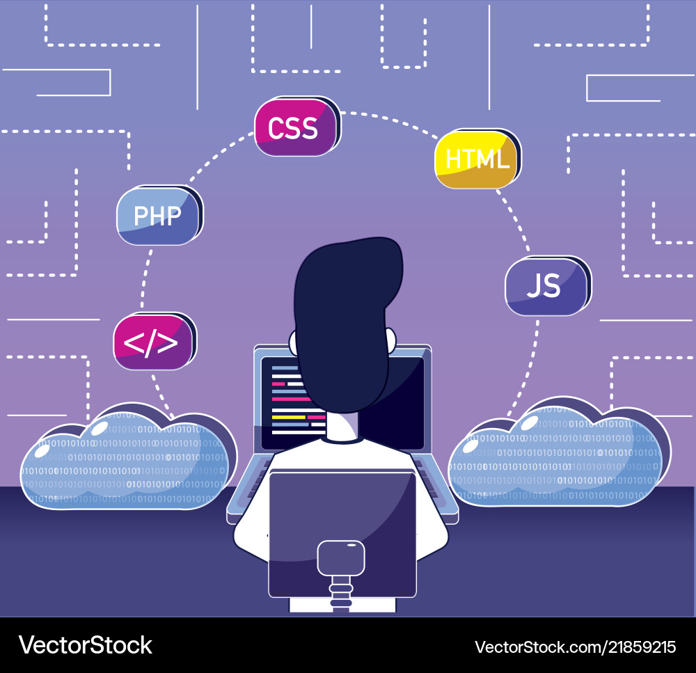 Software programmer cartoon vector image