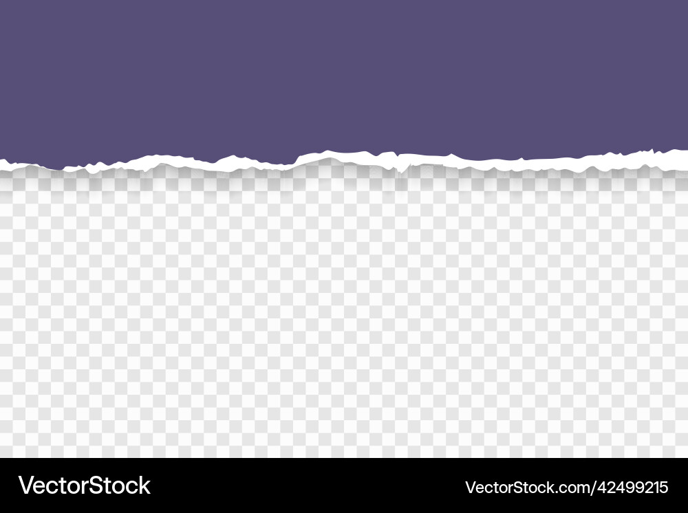 Torn paper with ripped edges and soft shadow Torn paper with ripped edges and soft shadow vector image