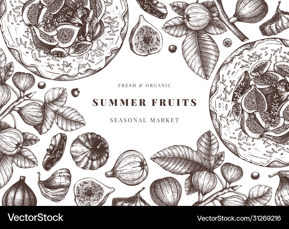 Design with hand drawn figs sketches vintage Design with hand drawn figs sketches vintage vector image