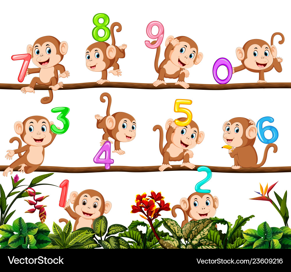 Lets count with monkey vector image