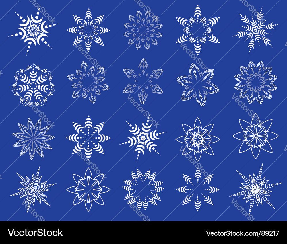 Winter Snowflake Patterns Vector Image