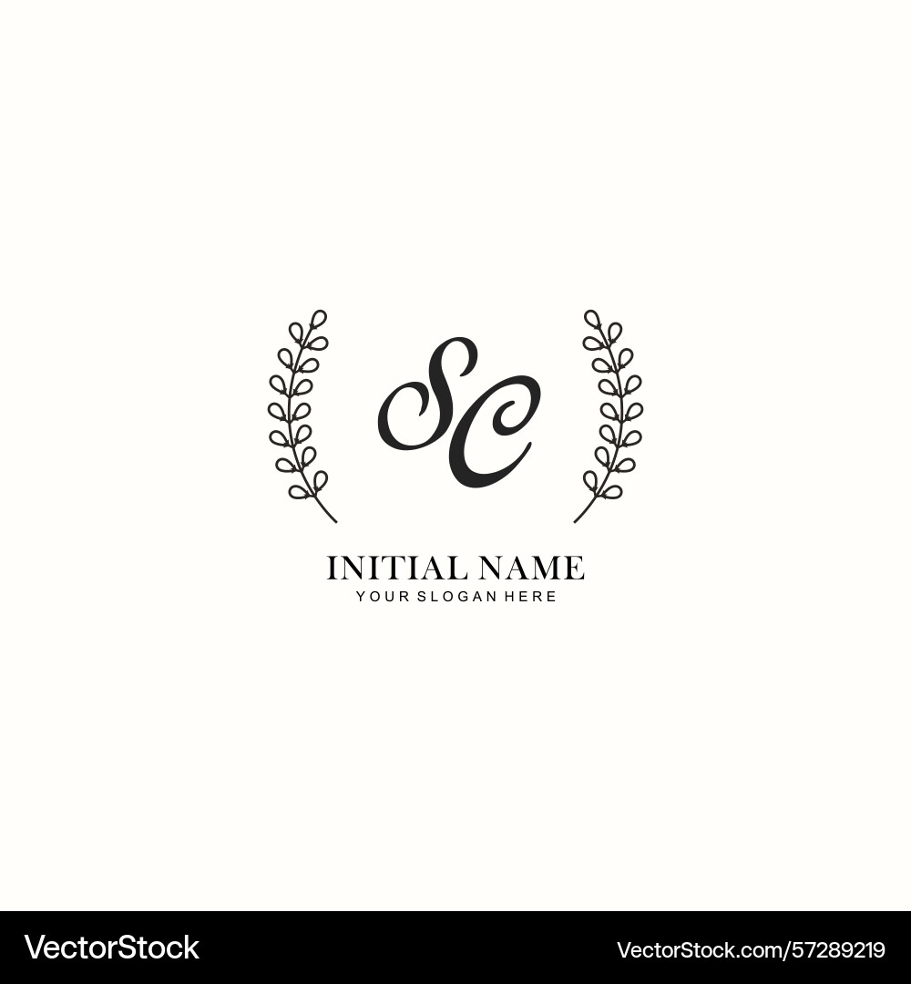 Sc initial logo templates with botanical elements Sc initial logo templates with botanical elements vector image