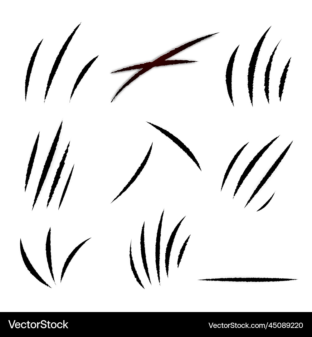 Realistic Scratch Marks Set Vector Image
