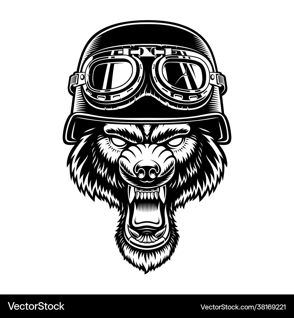 A wolf in biker helmet Vector Image
