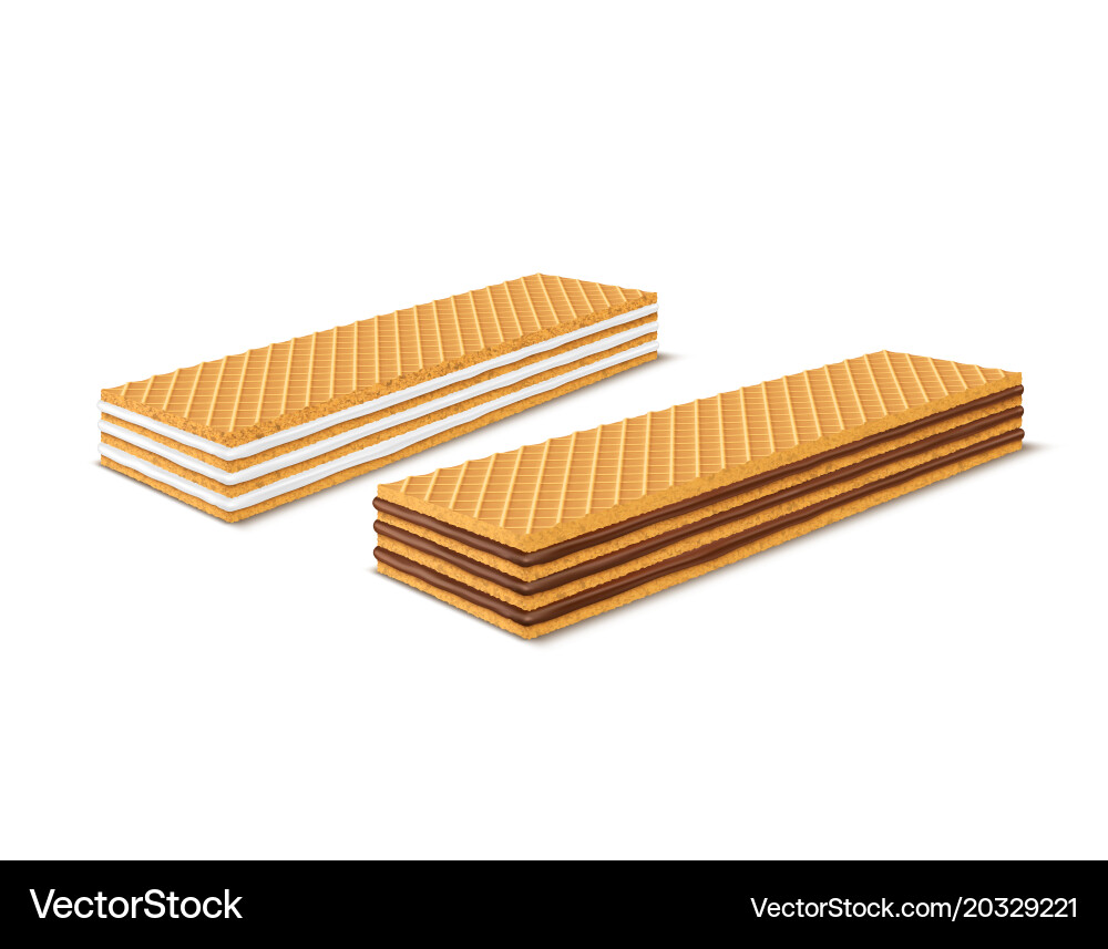 Set of 3d realistic rectangular crispy vector image