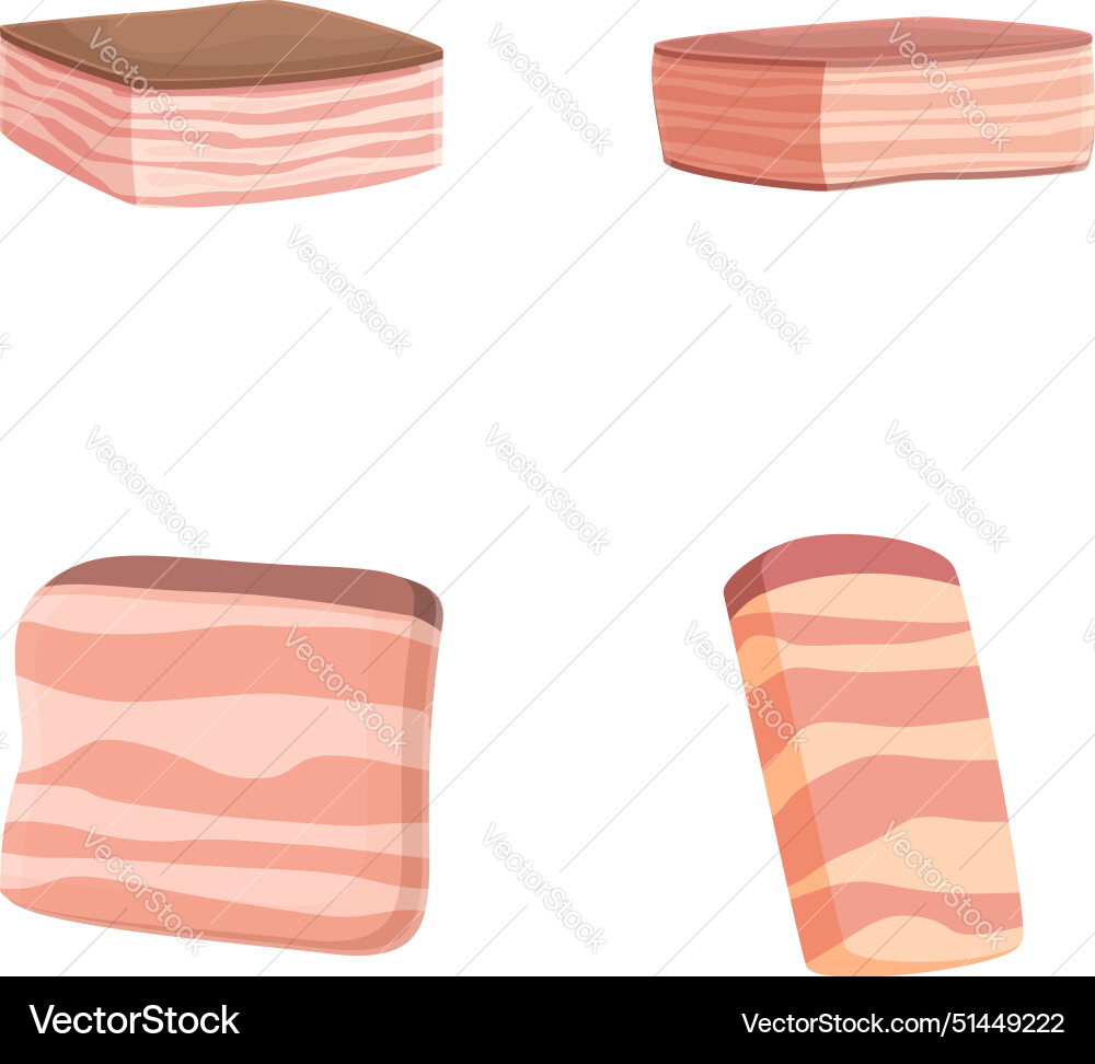Assorted bacon slices set Assorted bacon slices set vector image