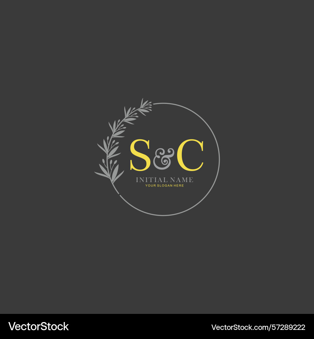 Sc initial logo templates with botanical elements Sc initial logo templates with botanical elements vector image