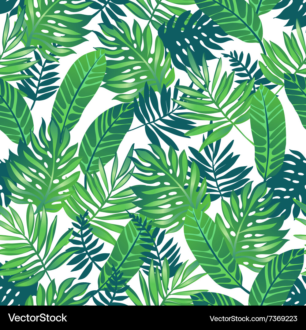 Tropical Palm Leaf Pattern Vector Image