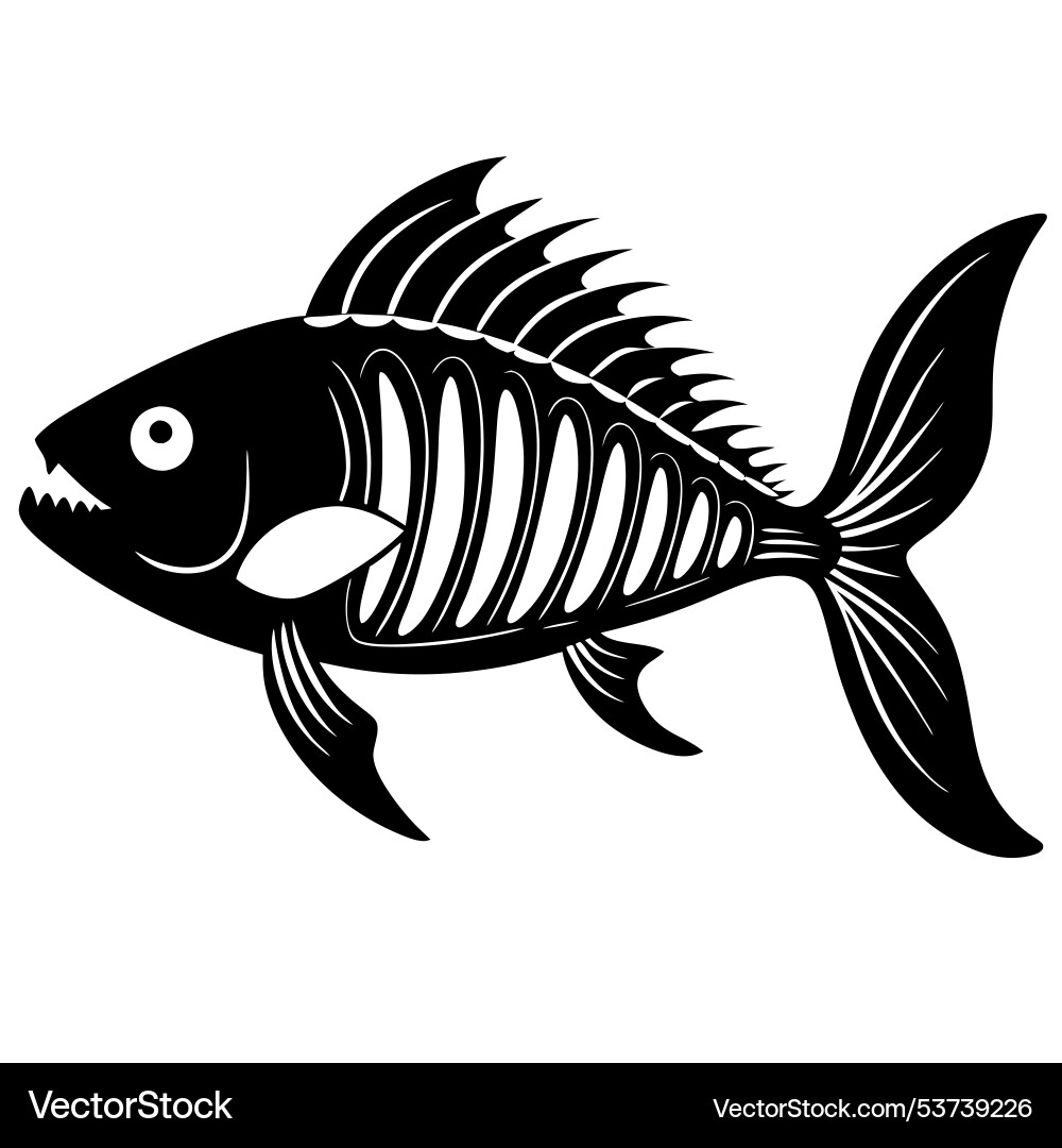 Fish skeleton showcasing intricate bone structure Fish skeleton showcasing intricate bone structure vector image