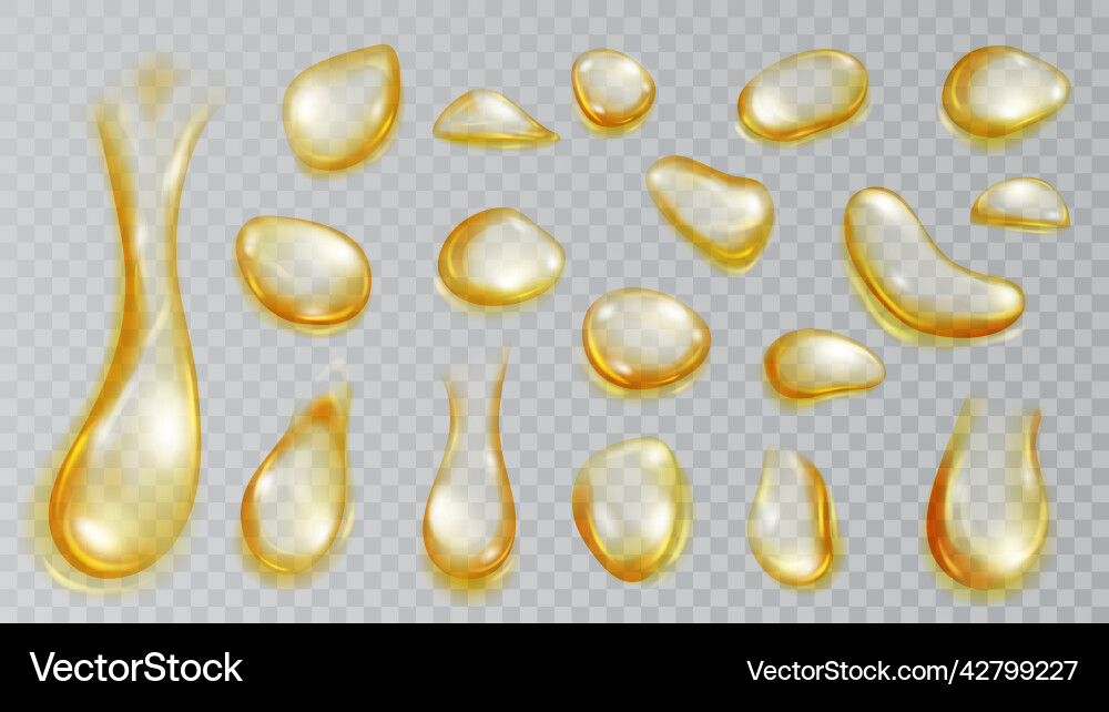 Translucent water drops Royalty Free Vector Image