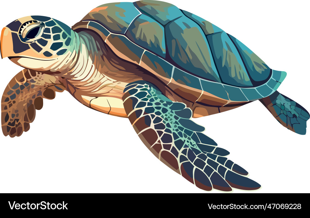 Cute Turtle with Shell vector image