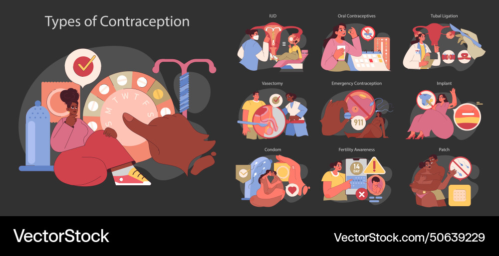 Types of contraception set exploring various Types of contraception set exploring various Vector Image