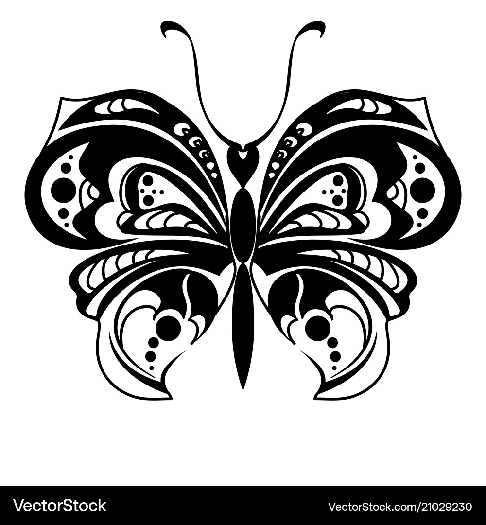 Elegant Butterfly Silhouette vector image
