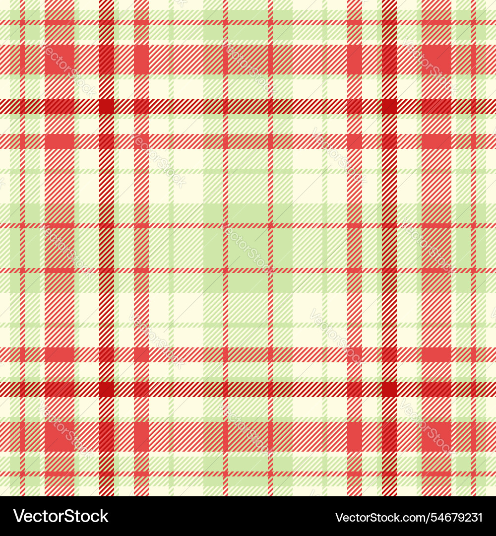 Multicultural check fabric texture light pattern Vector Image