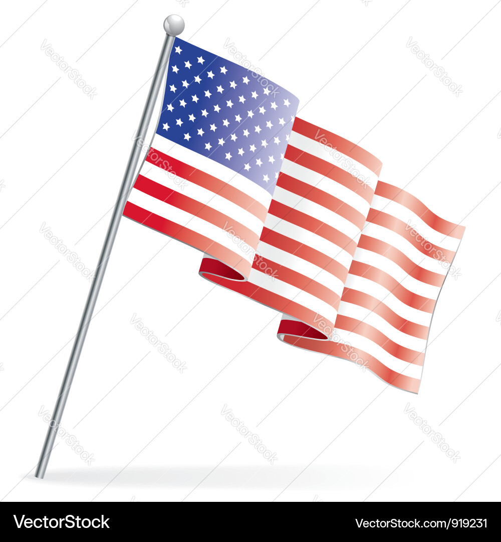 Waving American Flag vector image
